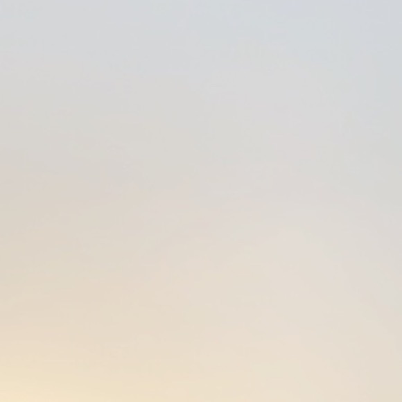 Meet your Posher, Natalie - Picture 1 of 1